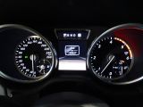 Mercedes-Benz G-Klasse bei Gebrauchtwagen.expert - Abbildung (13 / 15)