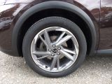 DS Automobiles DS 7 bei Gebrauchtwagen.expert - Abbildung (5 / 15)