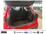 Nissan Qashqai bei Gebrauchtwagen.expert - Abbildung (6 / 15)
