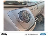 Ford Andere bei Gebrauchtwagen.expert - Abbildung (14 / 15)