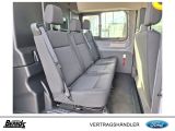 Ford Andere bei Gebrauchtwagen.expert - Abbildung (12 / 15)