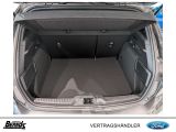 Ford Focus bei Gebrauchtwagen.expert - Abbildung (6 / 15) Ford Focus bei Gebrauchtwagen.expert - Abbildung (6 / 15)