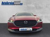 Mazda CX-30 bei Gebrauchtwagen.expert - Abbildung (8 / 15)