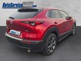 Mazda CX-30 bei Gebrauchtwagen.expert - Abbildung (5 / 15)