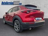 Mazda CX-30 bei Gebrauchtwagen.expert - Abbildung (3 / 15)
