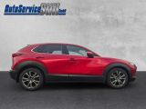 Mazda CX-30 bei Gebrauchtwagen.expert - Abbildung (6 / 15)