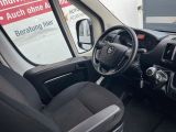 Opel Movano bei Gebrauchtwagen.expert - Abbildung (8 / 15) Opel Movano bei Gebrauchtwagen.expert - Abbildung (8 / 15)