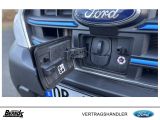 Ford Andere bei Gebrauchtwagen.expert - Abbildung (14 / 15)
