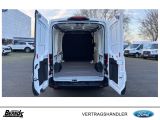 Ford Andere bei Gebrauchtwagen.expert - Abbildung (10 / 15)