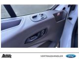 Ford Andere bei Gebrauchtwagen.expert - Abbildung (15 / 15)