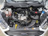 Ford EcoSport bei Gebrauchtwagen.expert - Abbildung (15 / 15)
