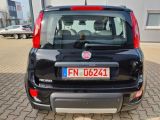 Fiat Panda bei Gebrauchtwagen.expert - Abbildung (4 / 15)