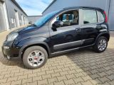 Fiat Panda bei Gebrauchtwagen.expert - Abbildung (3 / 15)