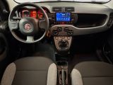 Fiat Panda bei Gebrauchtwagen.expert - Abbildung (13 / 15) Fiat Panda bei Gebrauchtwagen.expert - Abbildung (13 / 15)