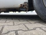 Fiat Punto bei Gebrauchtwagen.expert - Abbildung (12 / 14)