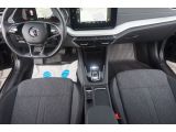 Skoda Octavia bei Gebrauchtwagen.expert - Abbildung (13 / 15) Skoda Octavia bei Gebrauchtwagen.expert - Abbildung (13 / 15)