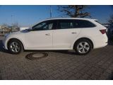 Skoda Octavia bei Gebrauchtwagen.expert - Abbildung (6 / 15)