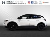 Opel Grandland X bei Gebrauchtwagen.expert - Abbildung (2 / 10)