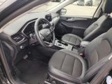 Ford Kuga bei Gebrauchtwagen.expert - Abbildung (8 / 11)