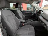 VW Golf VIII bei Gebrauchtwagen.expert - Abbildung (5 / 15)