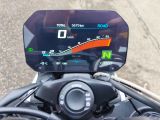 BMW M 1000 R bei Gebrauchtwagen.expert - Abbildung (13 / 13)