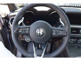 Alfa Romeo Stelvio bei Gebrauchtwagen.expert - Abbildung (11 / 14)