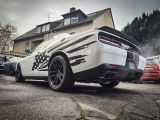 Dodge Challenger bei Gebrauchtwagen.expert - Abbildung (11 / 15)