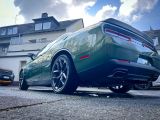 Dodge Challenger bei Gebrauchtwagen.expert - Abbildung (14 / 15)