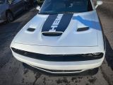 Dodge Challenger bei Gebrauchtwagen.expert - Abbildung (6 / 15)