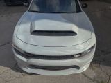 Dodge Charger bei Gebrauchtwagen.expert - Abbildung (12 / 15)