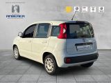 Fiat Panda bei Gebrauchtwagen.expert - Abbildung (6 / 15)