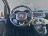 Fiat Panda bei Gebrauchtwagen.expert - Abbildung (14 / 15)