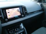 Skoda Karoq bei Gebrauchtwagen.expert - Abbildung (14 / 15)