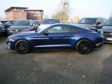 Ford Mustang bei Gebrauchtwagen.expert - Abbildung (5 / 15)