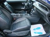 Ford Mustang bei Gebrauchtwagen.expert - Abbildung (15 / 15)