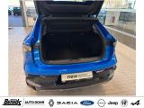 Renault Andere bei Gebrauchtwagen.expert - Abbildung (8 / 15)