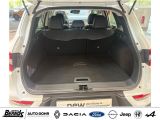 Renault Kadjar bei Gebrauchtwagen.expert - Abbildung (6 / 15)