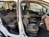 Ford Tourneo bei Gebrauchtwagen.expert - Abbildung (7 / 15)