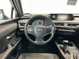 Lexus UX bei Gebrauchtwagen.expert - Abbildung (12 / 15)