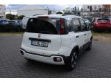 Fiat Panda bei Gebrauchtwagen.expert - Abbildung (3 / 15)