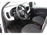 Fiat Panda bei Gebrauchtwagen.expert - Abbildung (13 / 15)