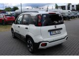 Fiat Panda bei Gebrauchtwagen.expert - Abbildung (5 / 15)