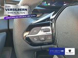 Peugeot 308 bei Gebrauchtwagen.expert - Abbildung (12 / 14)
