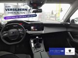 Peugeot 308 bei Gebrauchtwagen.expert - Abbildung (8 / 15)