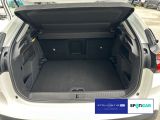 Citroen C4 bei Gebrauchtwagen.expert - Abbildung (6 / 15)