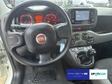Fiat Panda bei Gebrauchtwagen.expert - Abbildung (8 / 15) Fiat Panda bei Gebrauchtwagen.expert - Abbildung (8 / 15)