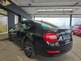 Skoda Octavia bei Gebrauchtwagen.expert - Abbildung (12 / 15)