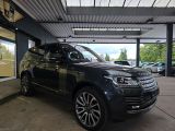 Land Rover Range Rover bei Gebrauchtwagen.expert - Abbildung (6 / 15)