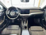 Skoda Octavia bei Gebrauchtwagen.expert - Abbildung (13 / 15)