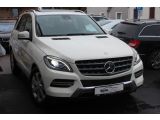 Mercedes-Benz M-Klasse bei Gebrauchtwagen.expert - Abbildung (4 / 15)